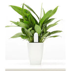 Aura™ Sense - Smart Houseplant Health Monitor (Launch Sale)